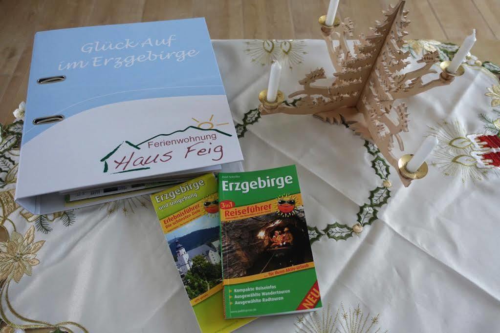 Ferienwohnung Haus Feig Geyer Екстер'єр фото